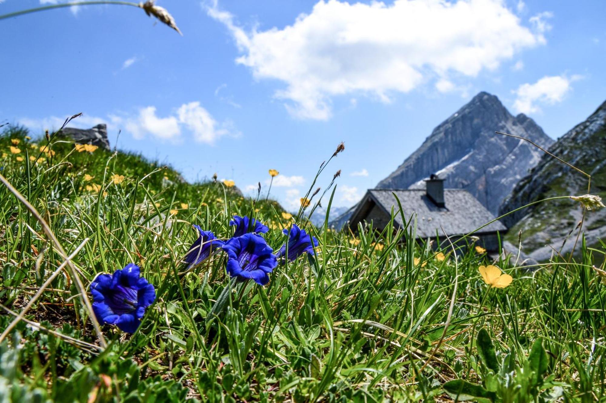 Ferienwohnung Fagstein Schoenau am Koenigsee Ngoại thất bức ảnh